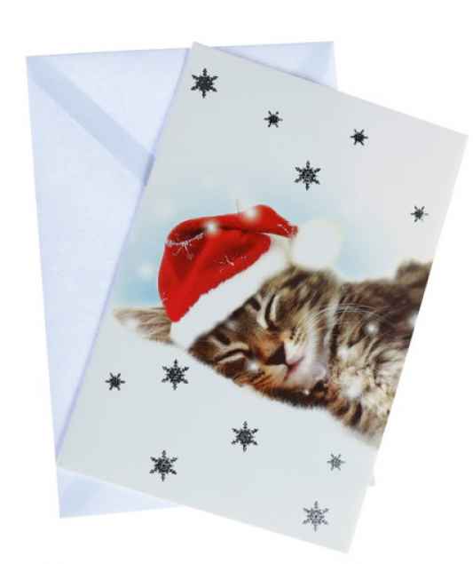 Weihnachtskarte mit Katzenmotiv:"Kätzchen mit Zipfelmütze"