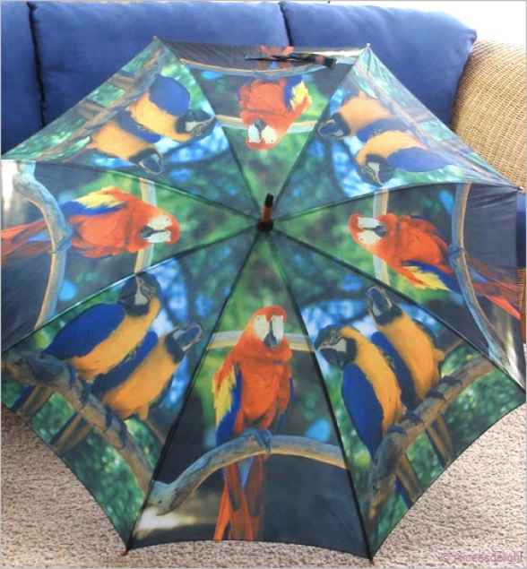 Papageienschirm: "DschungelColour" Papageienschirm: "DschungelColour"