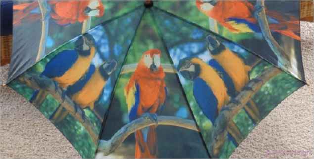 Papageienschirm: "DschungelColour" Regenschirm Ara